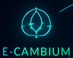 Icono E-CAMBIUM